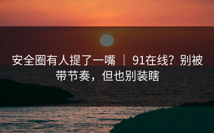 安全圈有人提了一嘴 ｜ 91在线？别被带节奏，但也别装瞎  第1张