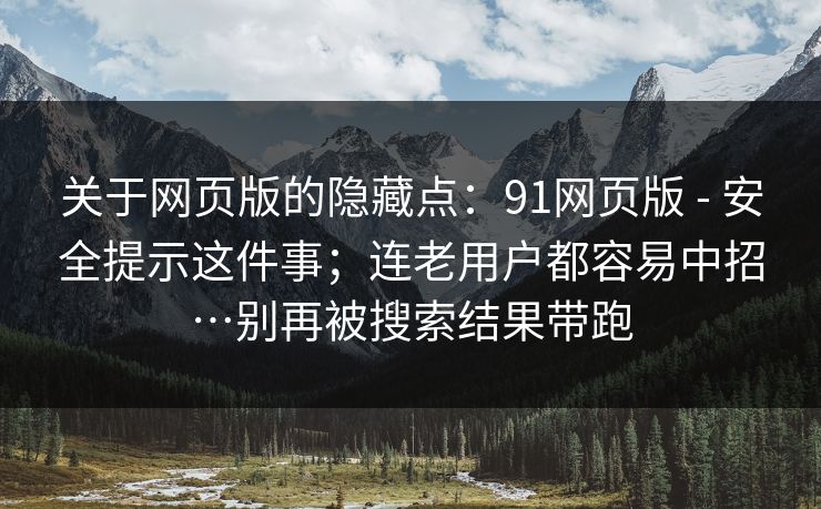 关于网页版的隐藏点：91网页版 - 安全提示这件事；连老用户都容易中招…别再被搜索结果带跑  第1张